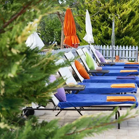 Fistikies Apartment Aegina